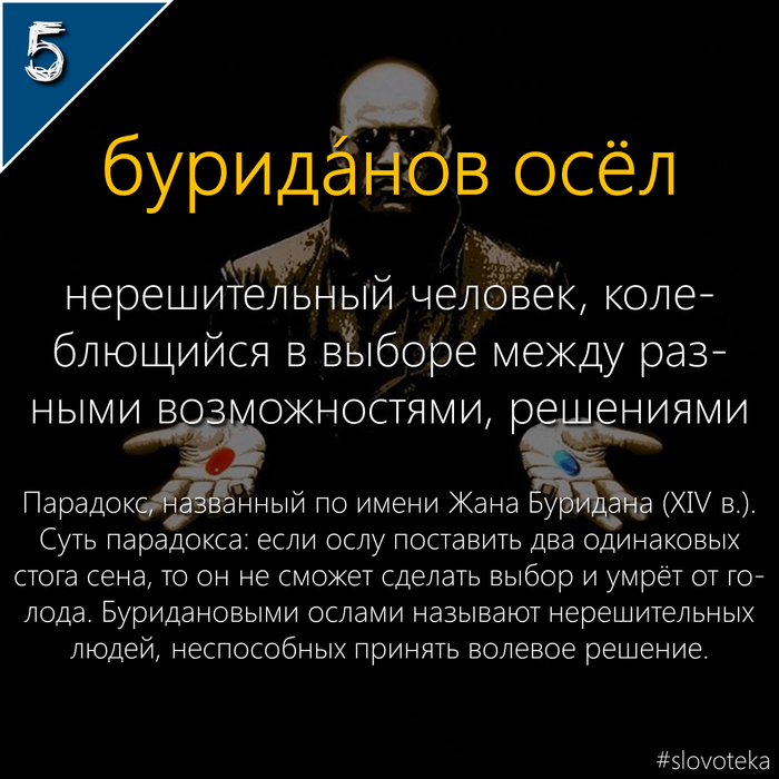 Как называется аромат после дождя. 1528735390179259891. Как называется аромат после дождя фото. Как называется аромат после дождя-1528735390179259891. картинка Как называется аромат после дождя. картинка 1528735390179259891