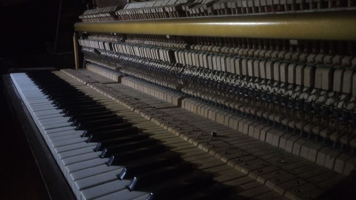 История одного санатория Санаторий, Заброшенный санаторий, Длиннопост, Заброшенное