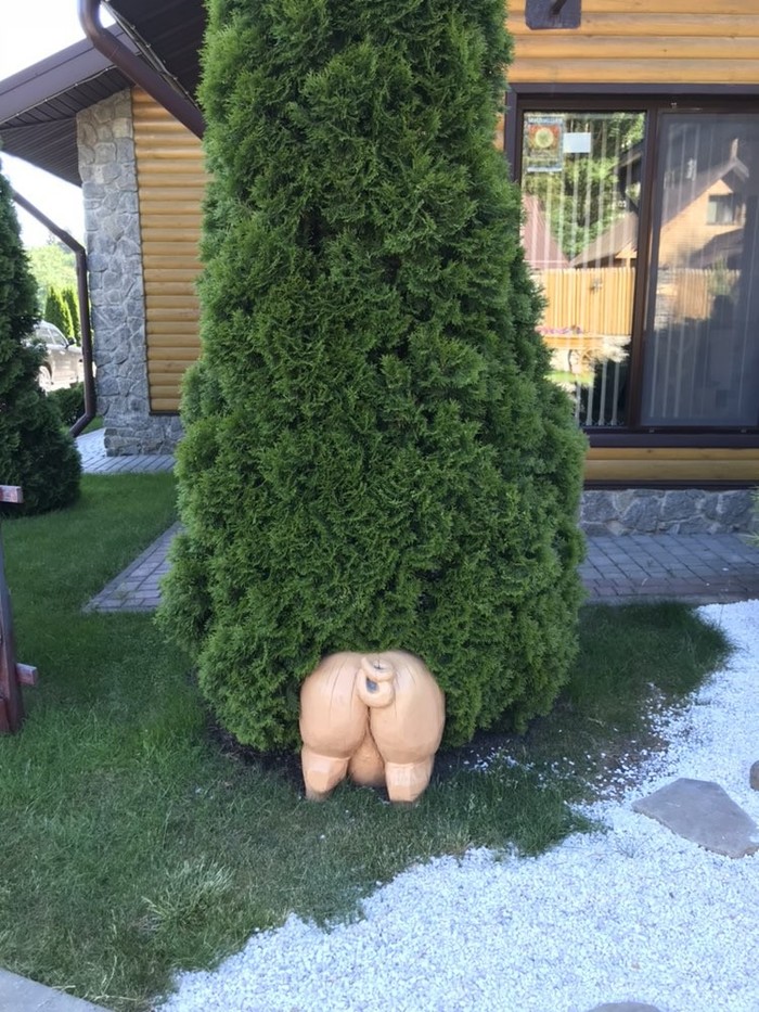 How are you?)) - NSFW, Interior, Lawn