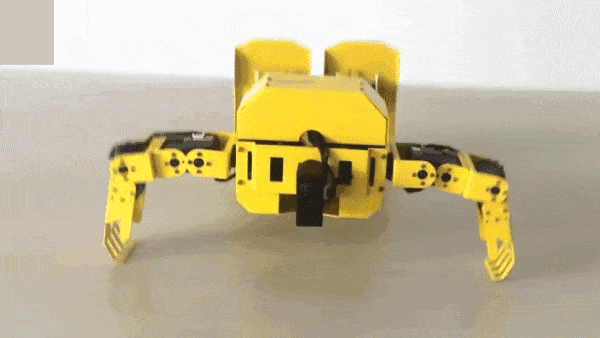 Raspberry Pi robot project launched on Kickstarter - Rpi, Raspberry pi