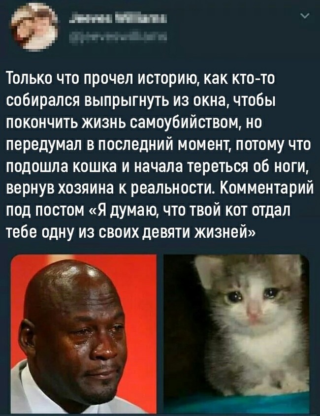 Отдал одну жизнь - Кот, Жизнь