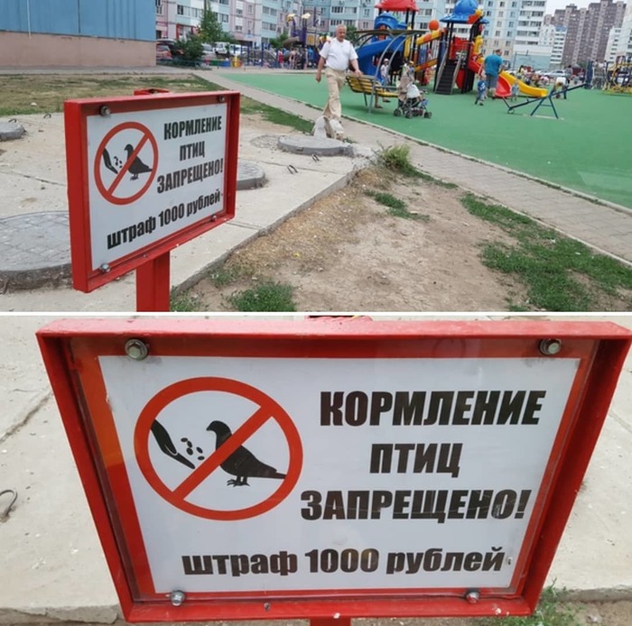 Pigeon discrimination. - My, Khabarovsk, Khabarovsk region, , Tkhv, , 