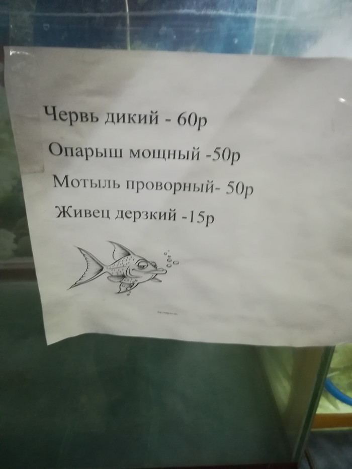 Price list in a fishing store - My, The photo, Fishing, Fishing, Score, Prices