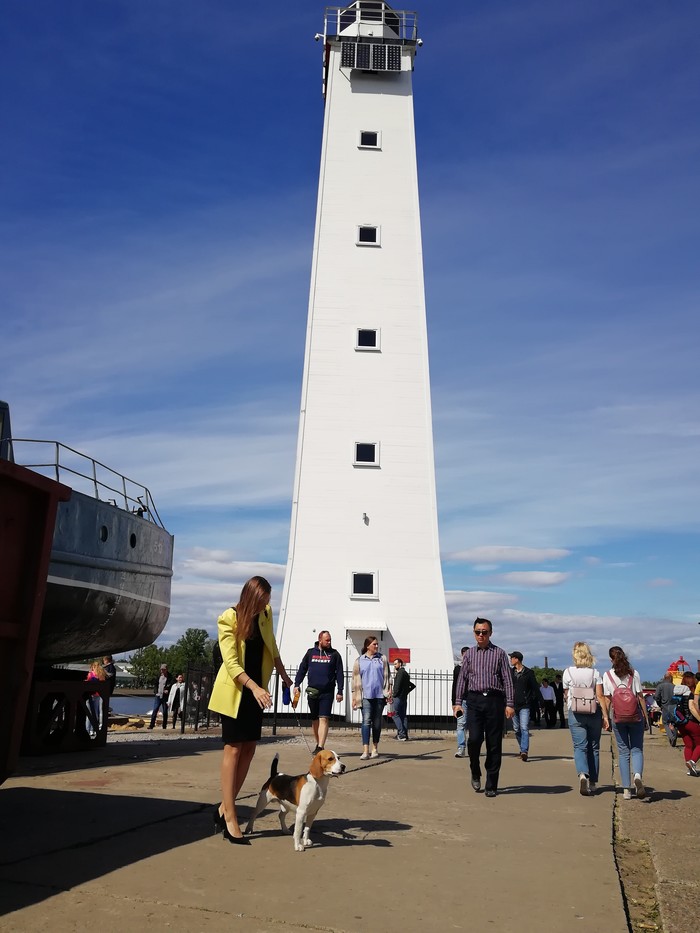 Simon in Kronstadt - My, Dog, Beagle, Travels, Kronstadt, Russia, The photo, Longpost