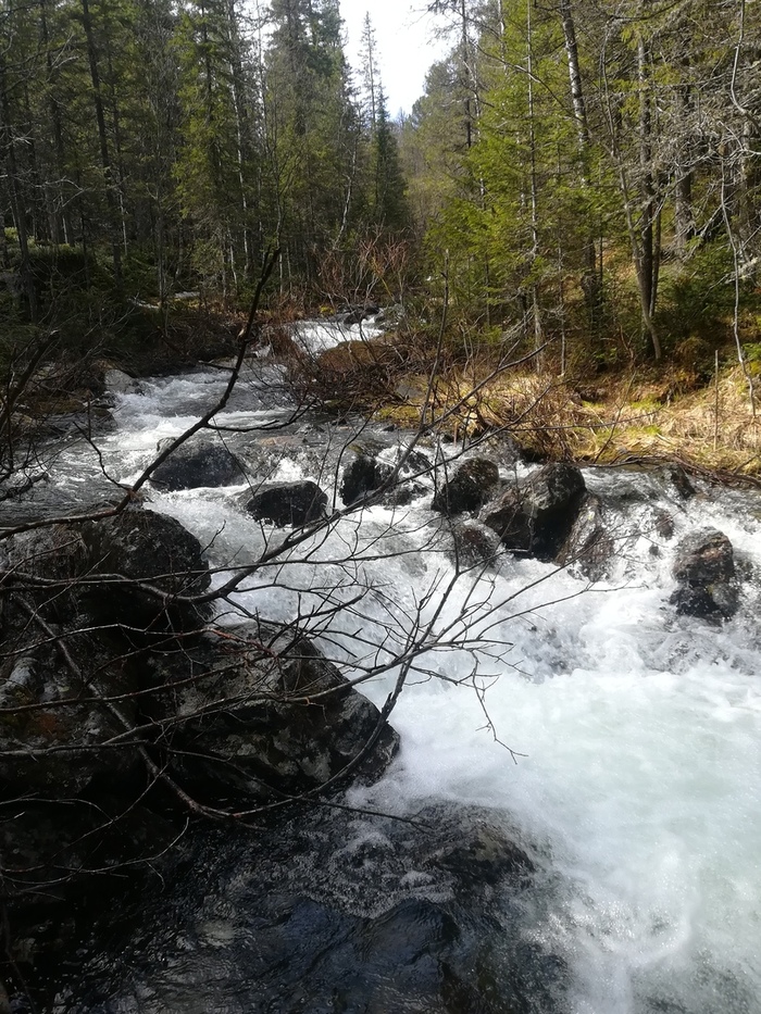 Trekking to the Konzhakovsko-Serebryansky mountain range 10-13.06.2018 - My, The mountains, Northern Ural, Konzhakovsky stone, Serebryansky Stone, Hike, Nature, Longpost