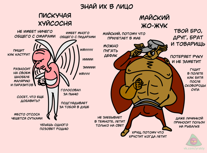 Is it ������� reference?