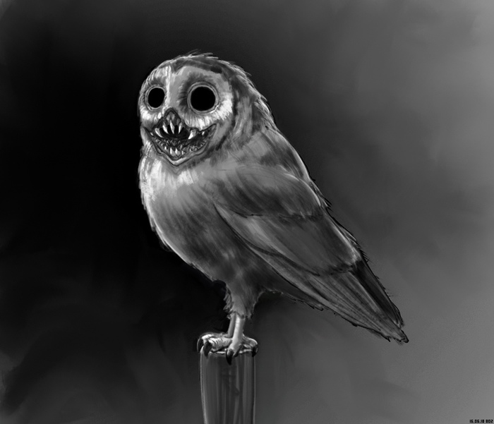 Owl - Images, Owl, Drawing