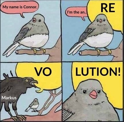 Connor and Markus - Detroit: Become Human, Birds, From the network, Revolution