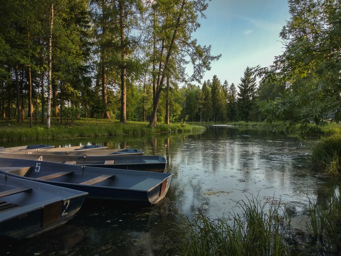 Boats on the water - My, A boat, Landscape, The photo, Water, Photographer, The park, Russia