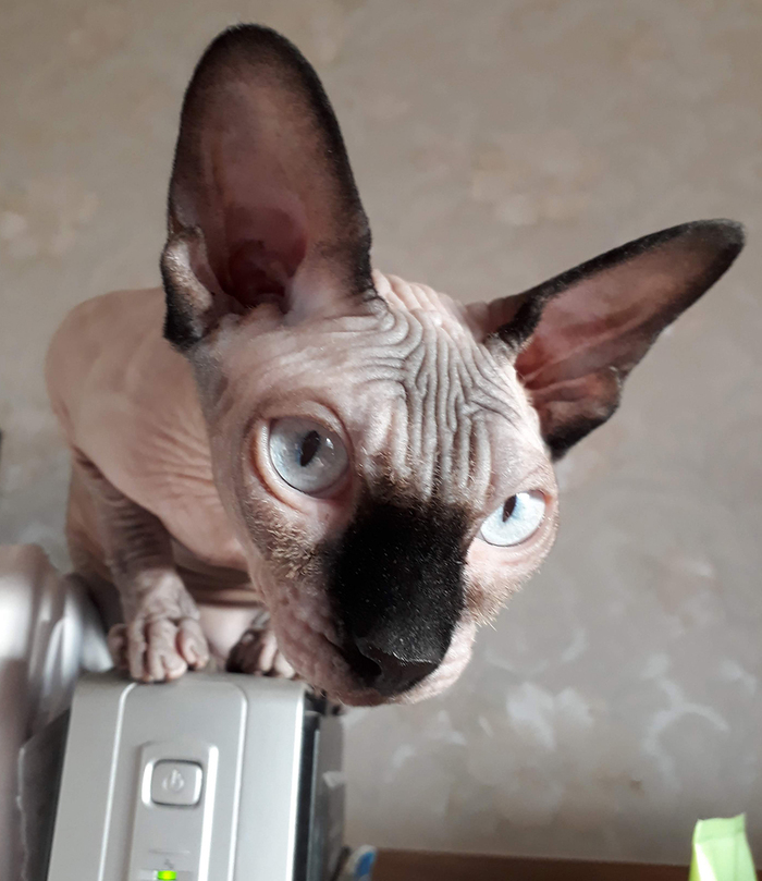 Вот и нам год.