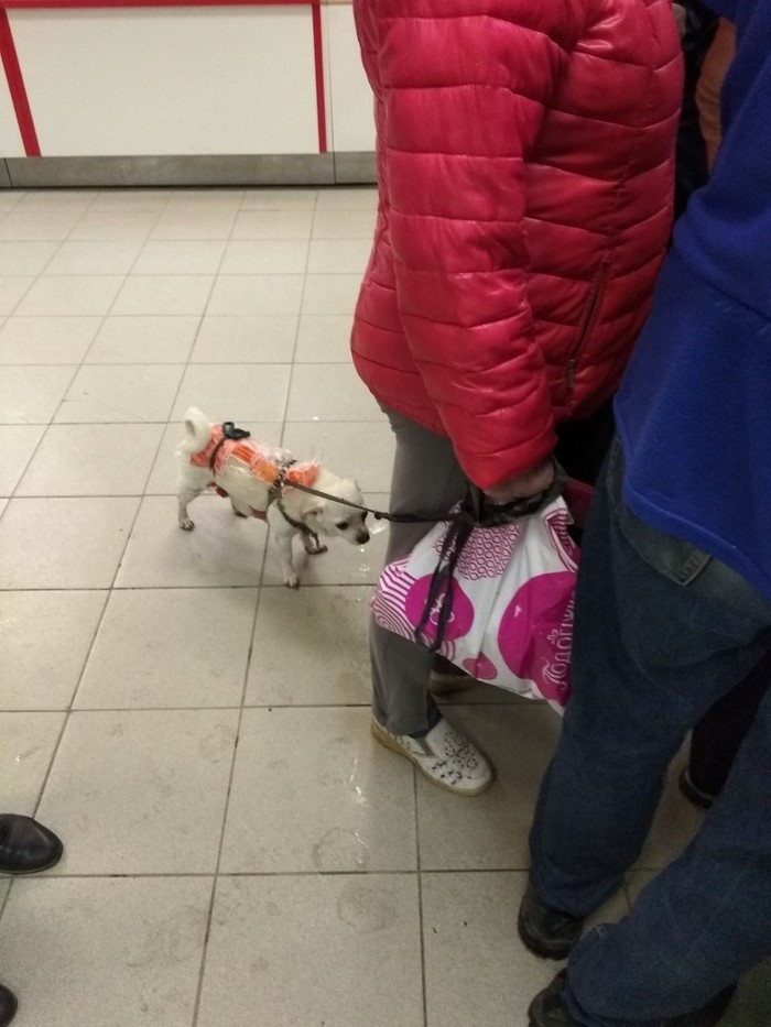 ������� � ���������� ��������