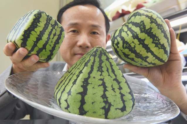 10 interesting facts about watermelons. - Interesting, Facts, Watermelon, Longpost