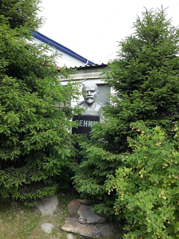 Irkutsk. Grandpa in the bushes - Lenin, Bushes, Irkutsk