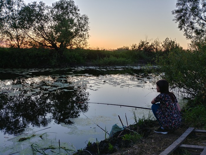 Nature of Voronezh - Pond, My, Longpost, Nature