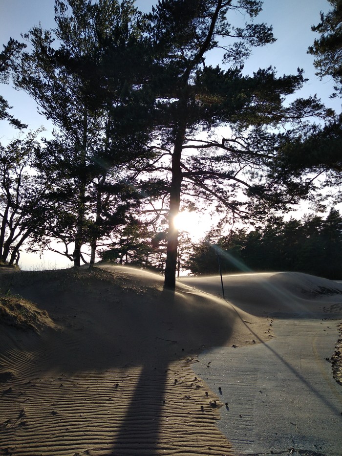 solar - The sun, Beach, The photo, Longpost, The Gulf of Finland, Leningrad region, My