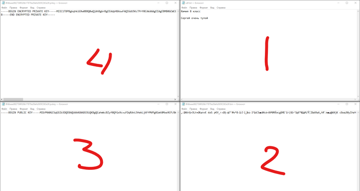RSA на домашнем Питоне Шифрование, Python, Cryptonator, Длиннопост, Программирование, Программирование на python, Безопасность
