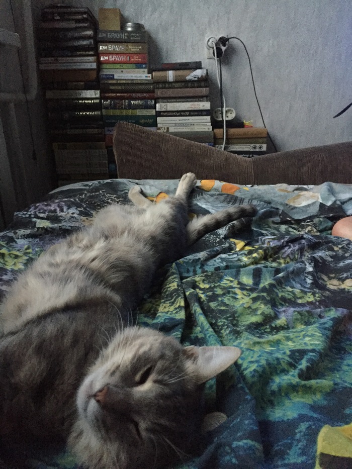 ���������