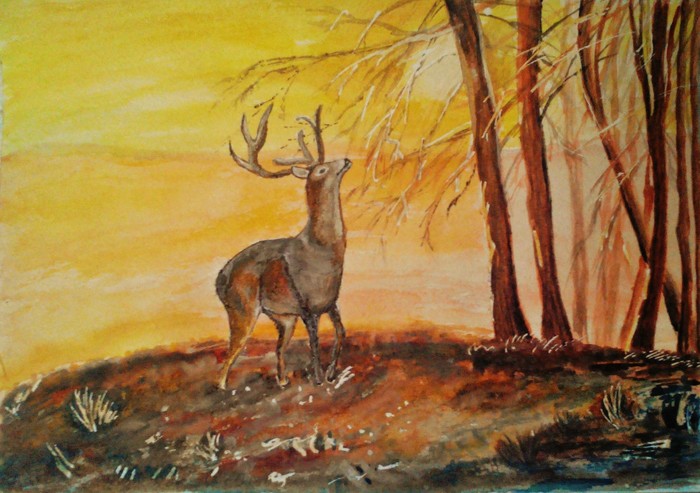 Deer. - My, Drawing, Watercolor, Learning to draw, Deer, Deer