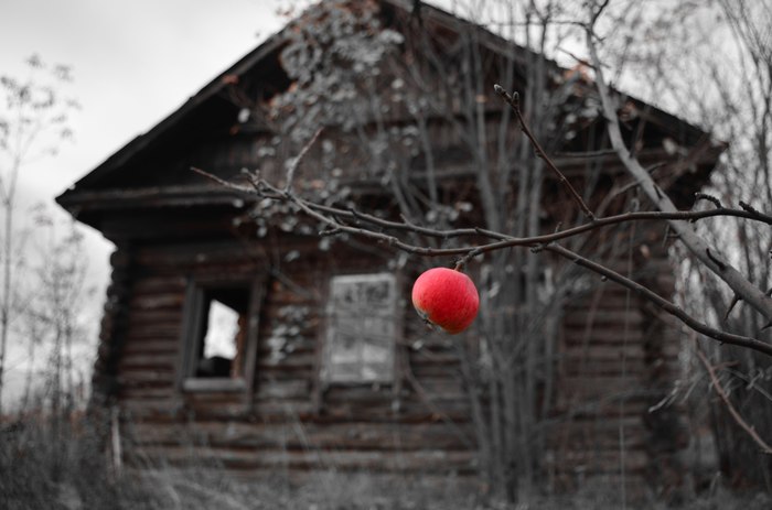 Фото из заброшенной дерени деревня, заброшенное, фотография, Никон д5100 кит, длиннопост