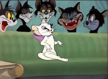 Gang bang: Tom &amp; Jerry