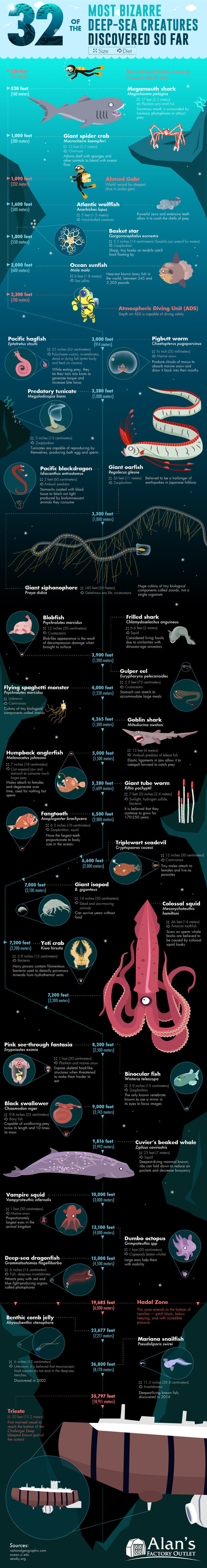 The most terrible sea creatures and where they live - Ocean, Sea, Animals, Marine life, Sea Monsters, Longpost