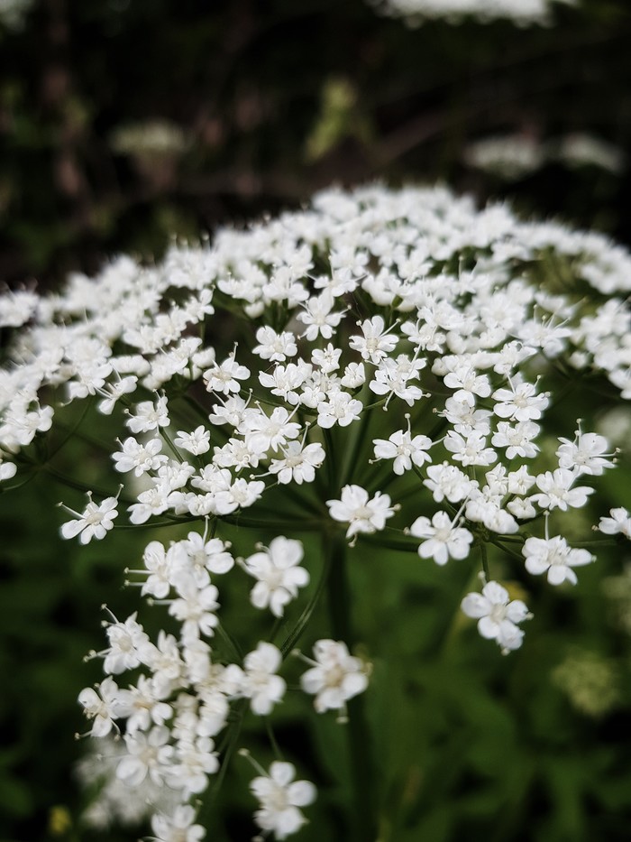 Повседневная нежность.