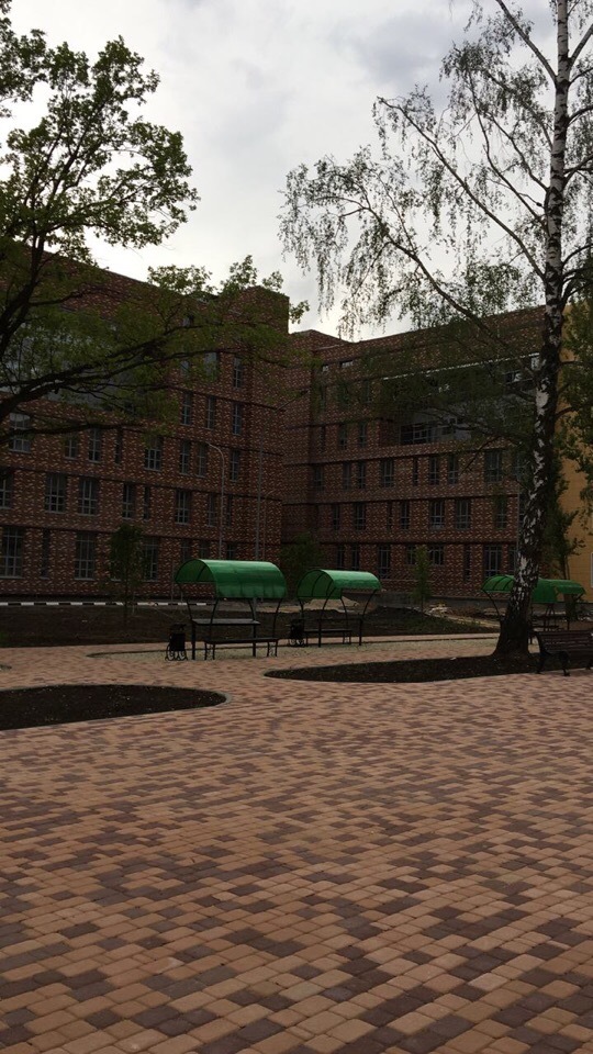 Pixel art in real life - My, The park, The photo, Humor, Dolgoprudny, Russia, Moscow region