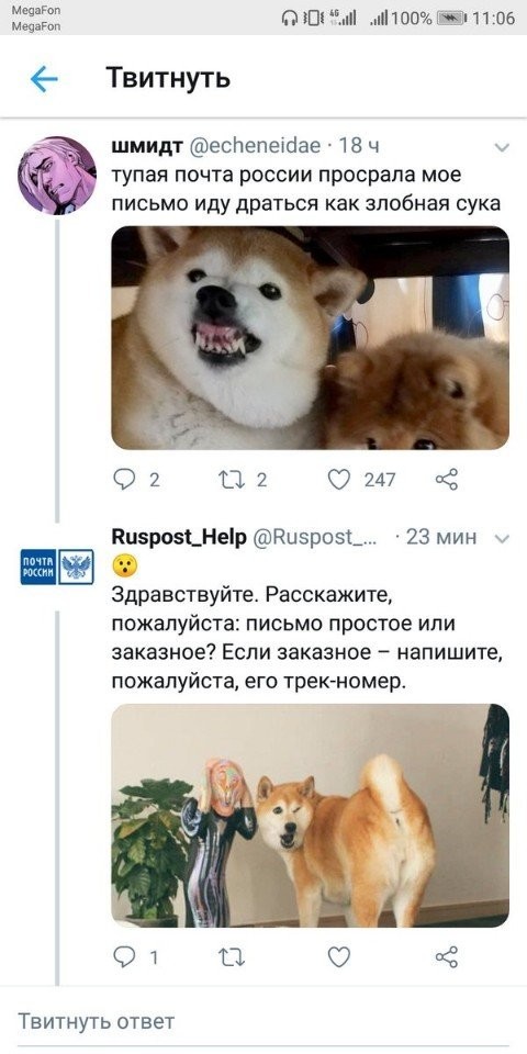 Russian Post can be funny - Post office, Dog, Delivery, Longpost