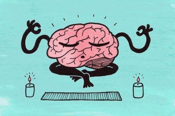 7 reasons why your brain refuses to work - Brain, Facts, Interesting, Longpost, Text