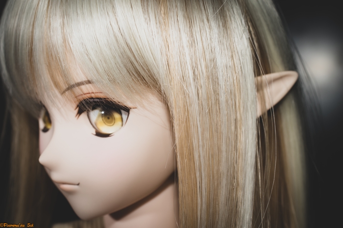 DollfieDream -   Dollfiedream,  , , , , 