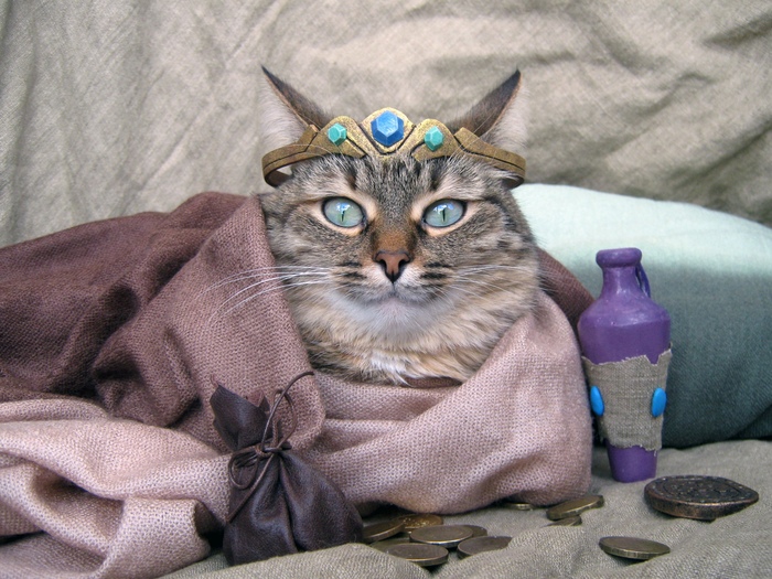    ,     , ! , , The Elder Scrolls, , 