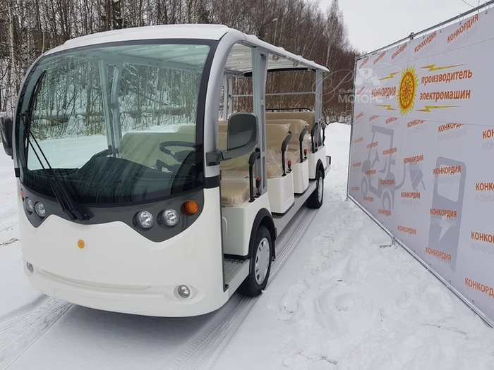 Russian-made electric bus - , Ecology, Energy, Longpost, Electric bus