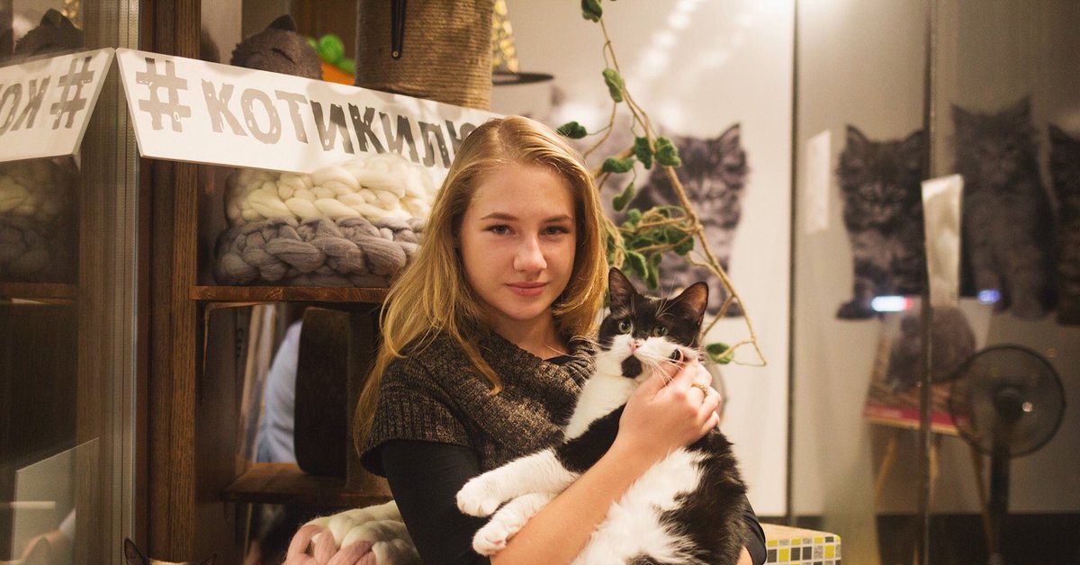 Суть котокафе. Котокафе котики и люди. Кафе коты и люди Москва. КОТОКАФЕКАФЕ Москва котики и люди. Котокафе в Москве.