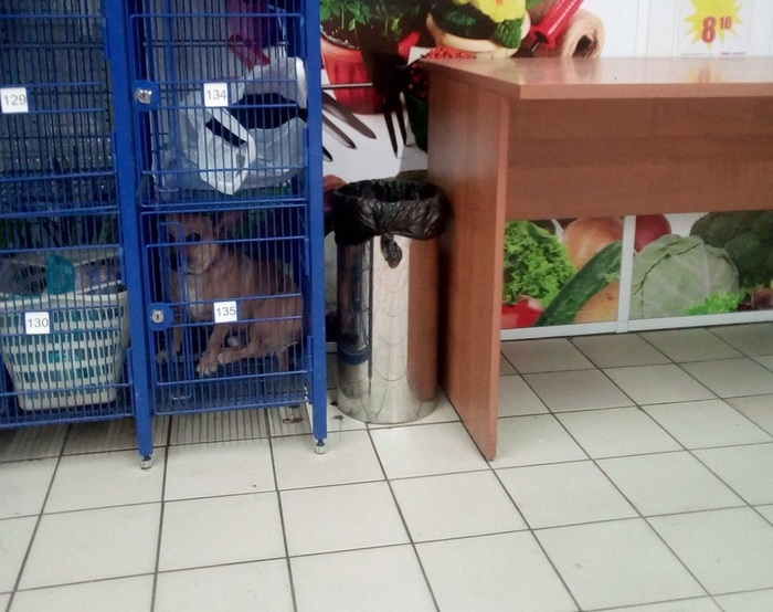 �� ���� �������, � ������ ��� ������.