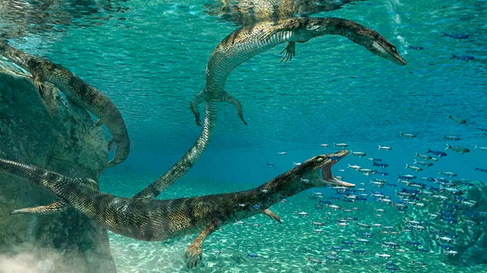 In Italy, they found an ancient lizard, a relative of mosasaurs and snakes. - My, Paleontology, Reptiles, The science, Biology, Animals, Evolution, Longpost