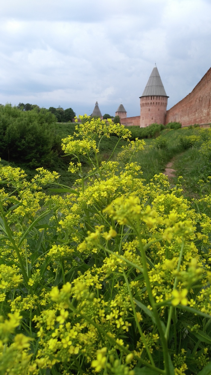 Smolensk. Small homeland - My, Smolensk, Fortress