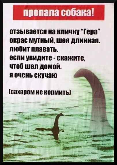 Чудовище потерялось в городе - Чудовище, Вологда, Домашние животные, Животные, Объявление, Новости, Сверхъестественное, Загадка, Длиннопост