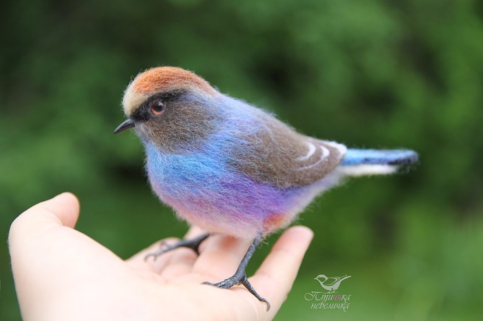 Painted tit. Dry felting. - My, Dry felting, Needlework without process, Creation, Handmade, With your own hands, Birds, Longpost, Tit