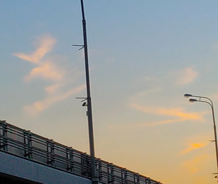 Со мной сегодня небо говорило