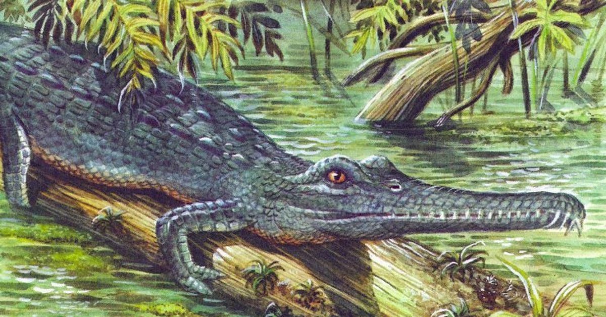 На рисунке изображен майаспондил вымершая рептилия. Триасовый период мезозойской эры. Рептилии Триасового периода. Крокодилы мезозойской эры. Архозавры мезозой.