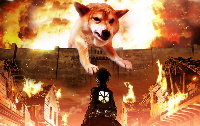 Shingeki no Doge - Fotozhaba, Attack of the Titans, Photoshop master, Dog