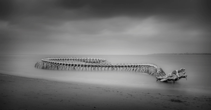 le serpent d ocean история
