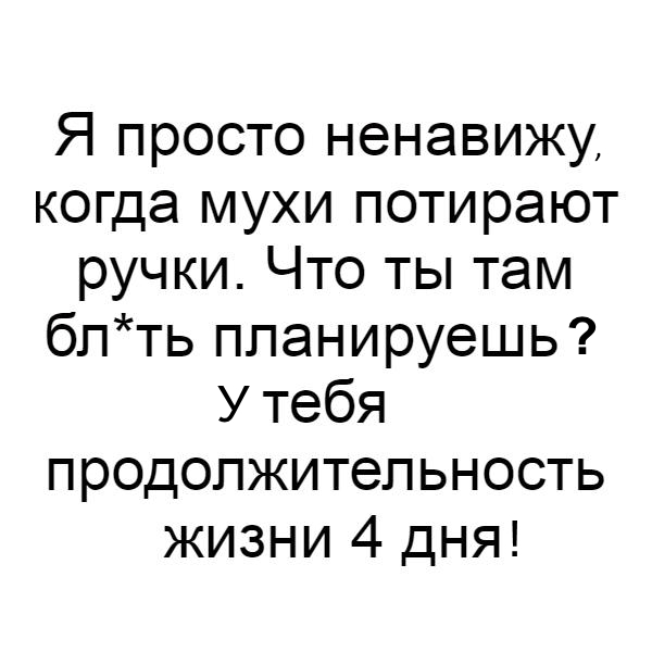Для чего муха трет лапки. Смотреть фото Для чего муха трет лапки. Смотреть картинку Для чего муха трет лапки. Картинка про Для чего муха трет лапки. Фото Для чего муха трет лапки