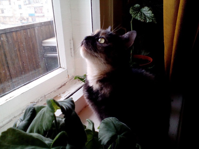 Фотомодель