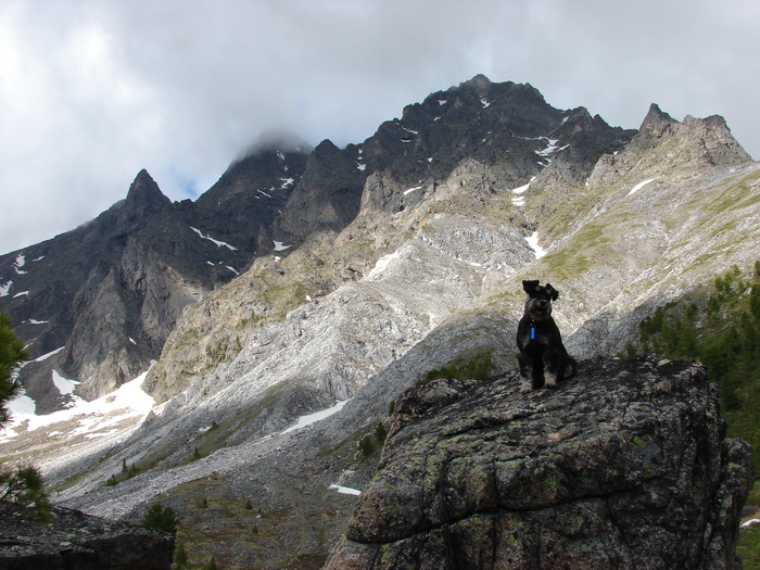 Walking dog. - My, Hike, The mountains, Dog, Friend, PHOTOSESSION, Longpost