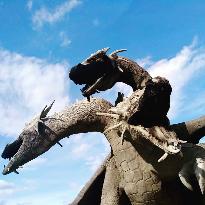 Dragon. - My, Dragon, Lipetsk, The photo, My