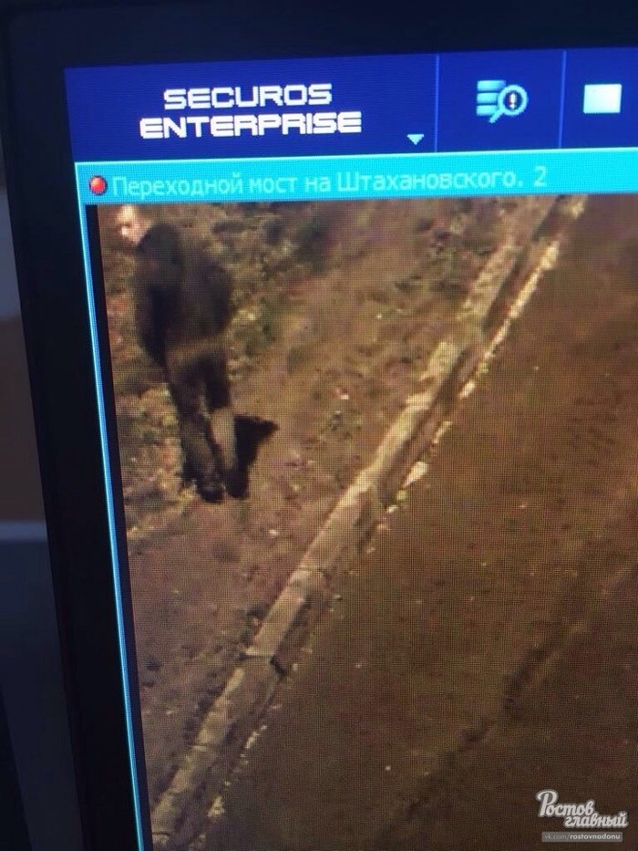 Помогите поймать насильника! Без рейтинга, Насильник, Насилие, Помогите найти, Розыск, Длиннопост, Ростов-на-Дону, Негатив