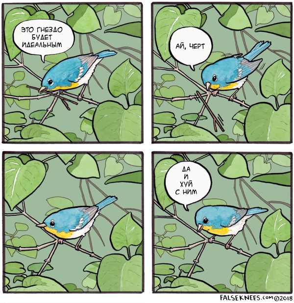 Birds and people have so much in common - Falseknees, Birds, Translation, Mat