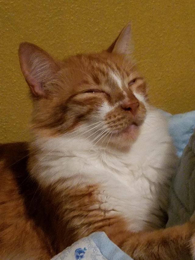 ������ �� �� ������� ����� ������ ������!