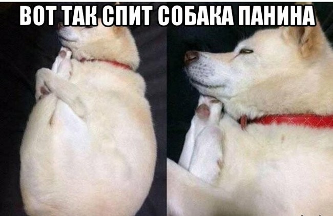 ������ ������